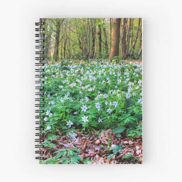 Item preview, White Flowers designed and sold by Vicki Spindler (VHS Photography).