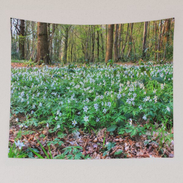 Item preview, White Flowers designed and sold by Vicki Spindler (VHS Photography).