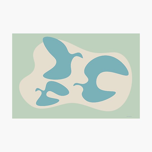 Photographic Print