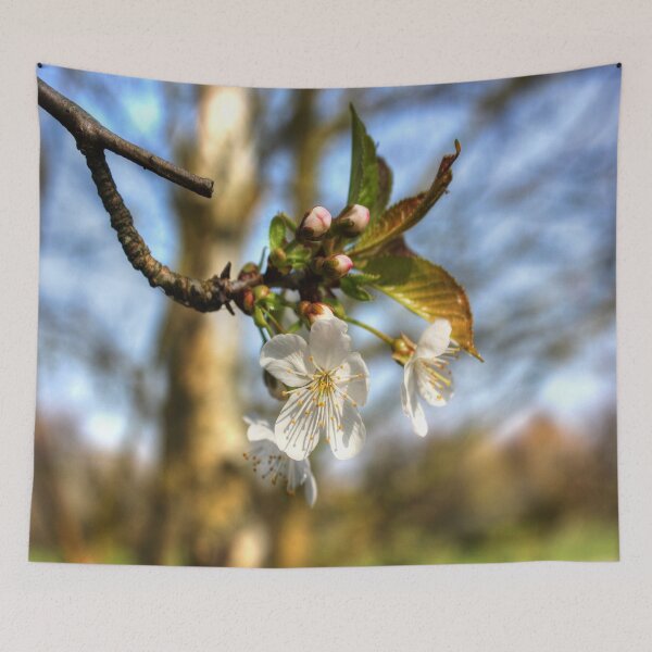Artikelvorschau, HDR-Blüten entworfen und verkauft von Vicki Spindler (VHS Photography).