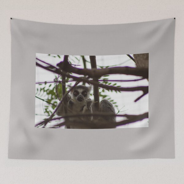 Item preview, Caught designed and sold by Wayne Thomson.