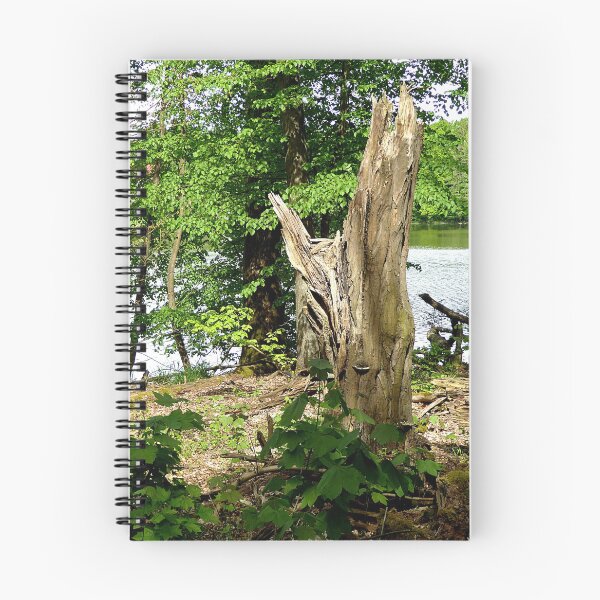 Item preview, Broken Tree in front of small lake photo designed and sold by ullahennig.