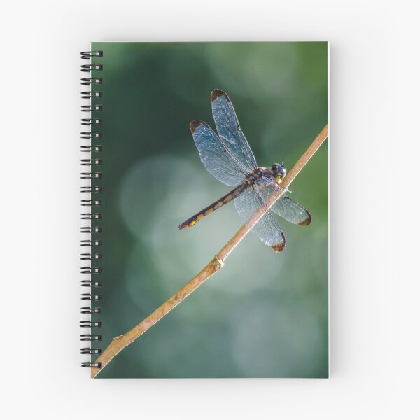Item preview, DragonFly designed and sold by ctellis156.