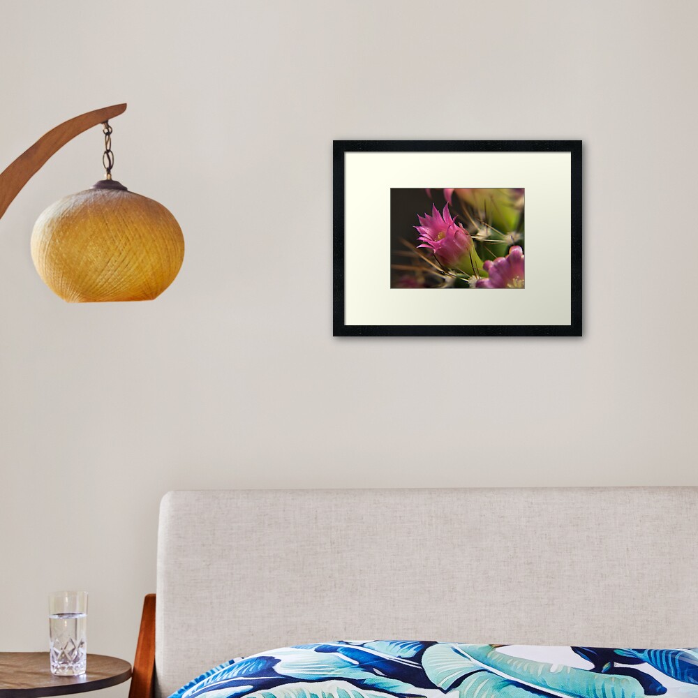 Cacti Flower Closeup #1 Framed Art Print
