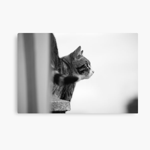 Ever vigilant Canvas Print