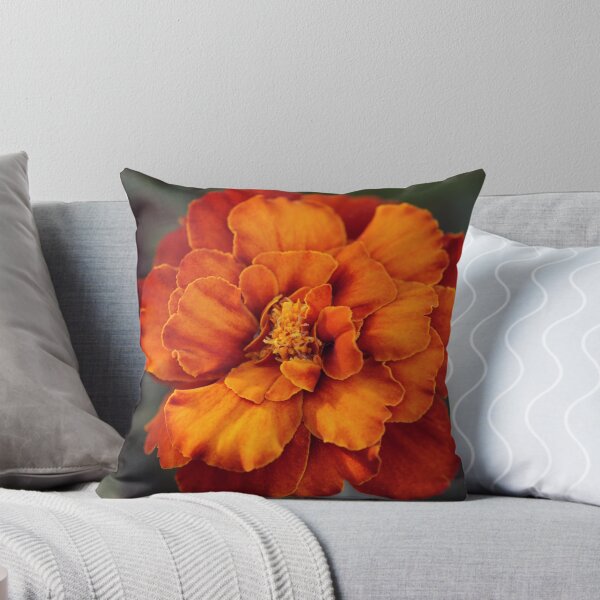 Item preview, Macro of an Orange Marigold designed and sold by StampCity.