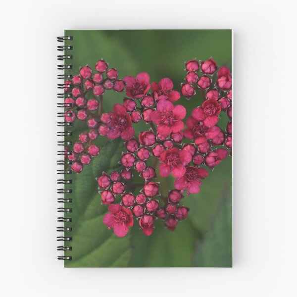 Item preview, Love From Spirea designed and sold by StampCity.