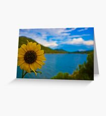 A Sunflower for Mo Greeting Card