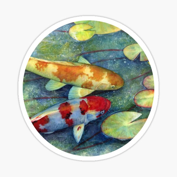 Colorful Koi Fish in a Pond Mural Yuya Negishi YUYART Rectangle Refrigerator Magnet Colorful Koi Fish in a Pond Mural Yuya Negishi YUYART Rectangle Refrigerator Magnet