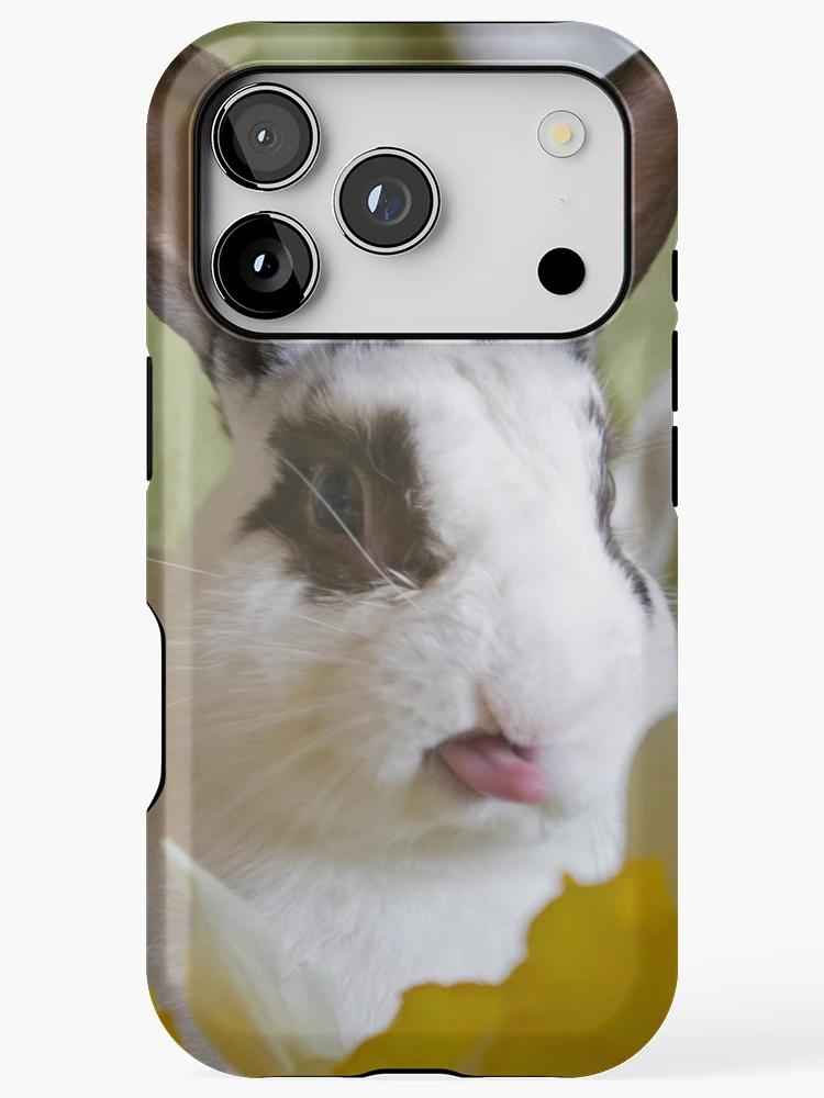 Thumbnail 1 of 4, iPhone Case, Cheeky Rabbit! designed and sold by South Coast Rabbit Rescue.