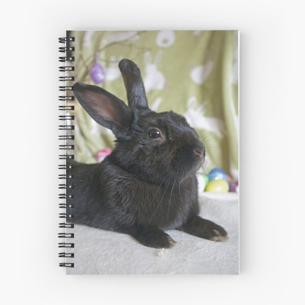 Item preview, Resting Bunny designed and sold by South Coast Rabbit Rescue.