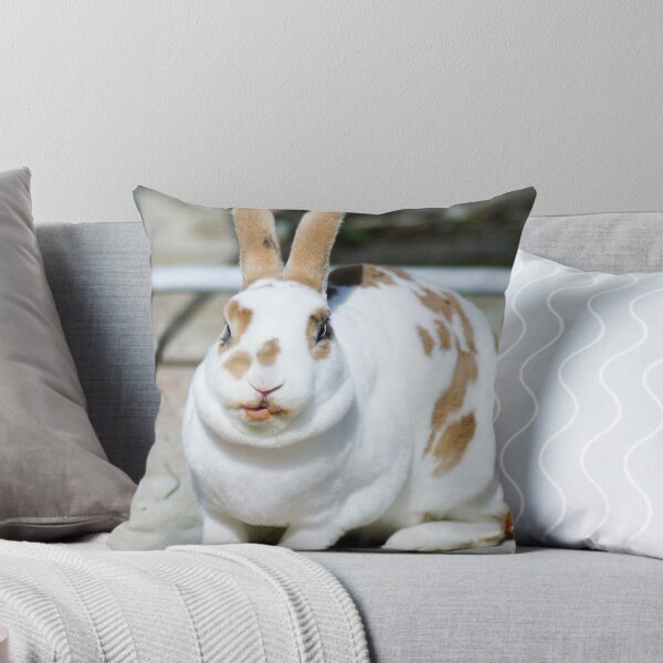 Item preview, Rex Rabbit Munching Carrot designed and sold by South Coast Rabbit Rescue.