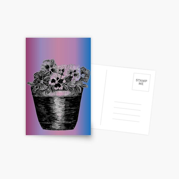 Pansies in a Pot Greeting Card (Blank) Postcard