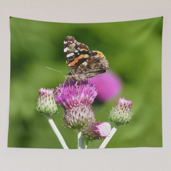 Item preview, Red Admiral Butterfly on Thistles designed and sold by Jan Palmer.