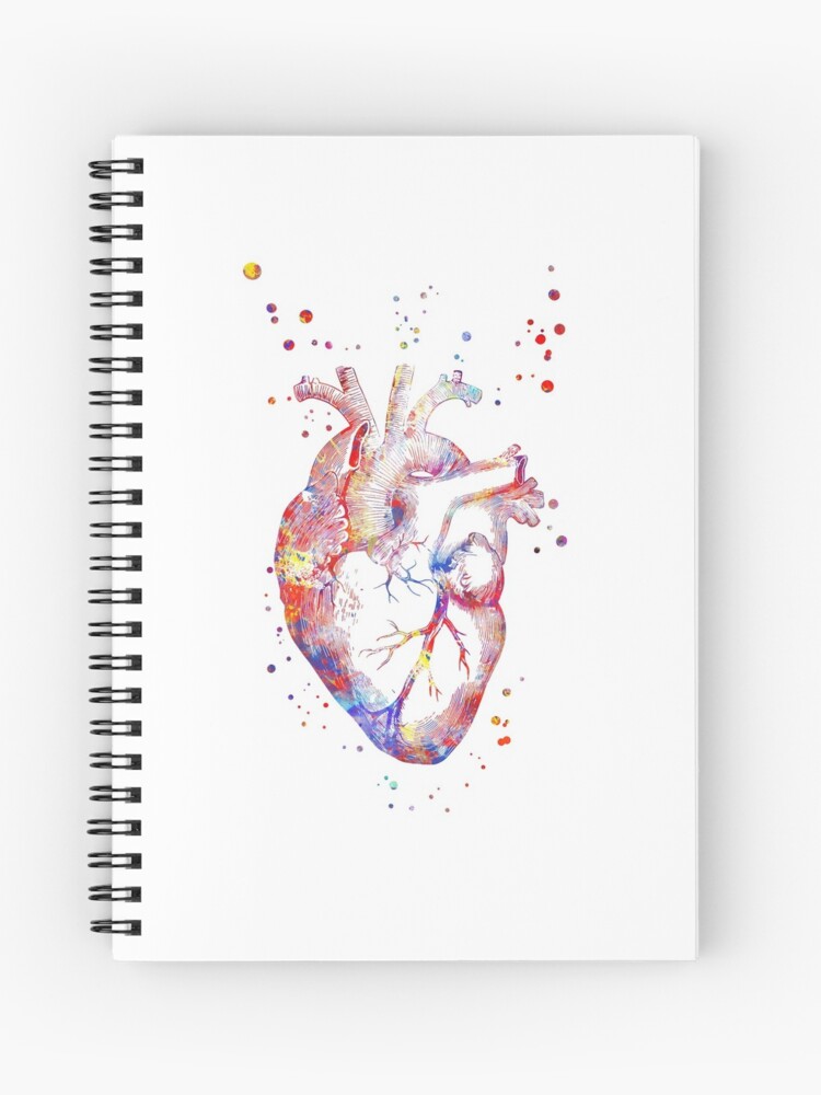 Cuaderno de espiral «Corazón humano, anatomía del corazón, arte médico,  corazón acuarela, corazón impresión, corazón abstracto» de Rosaliartbook |  Redbubble