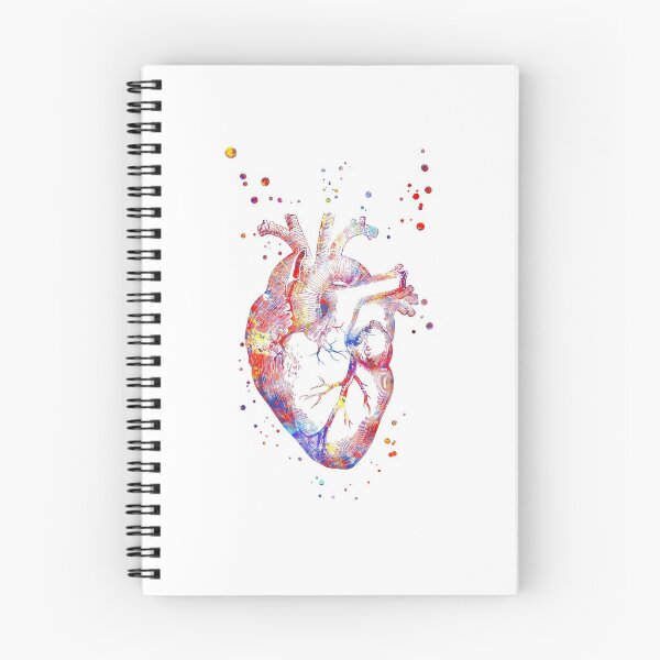 Item preview, Human heart, heart anatomy, medical art, watercolor heart, heart print, abstract heart designed and sold by Rosaliartbook.