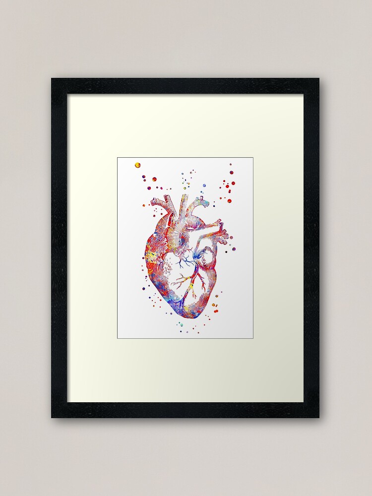 Human Heart Heart Anatomy Medical Art Watercolor Heart Heart Print Abstract Heart Framed Art Print By Rosaliartbook Redbubble