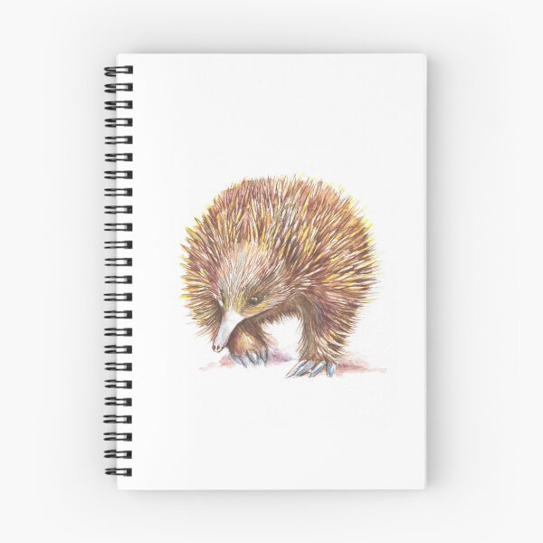 Item preview, Echidna, the friendly monotreme designed and sold by Kerttu Rintala.