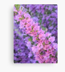 Purple Desert Sage Canvas Print