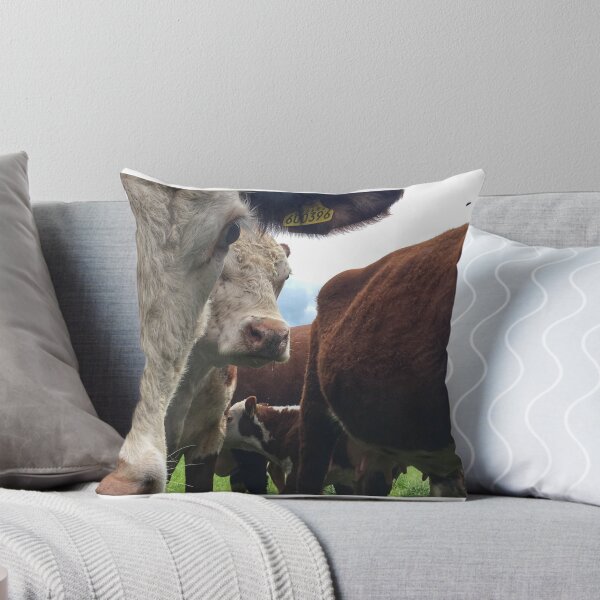 Item preview, Cows designed and sold by Mat Dixon.
