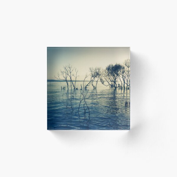 Mangroves Acrylic Block