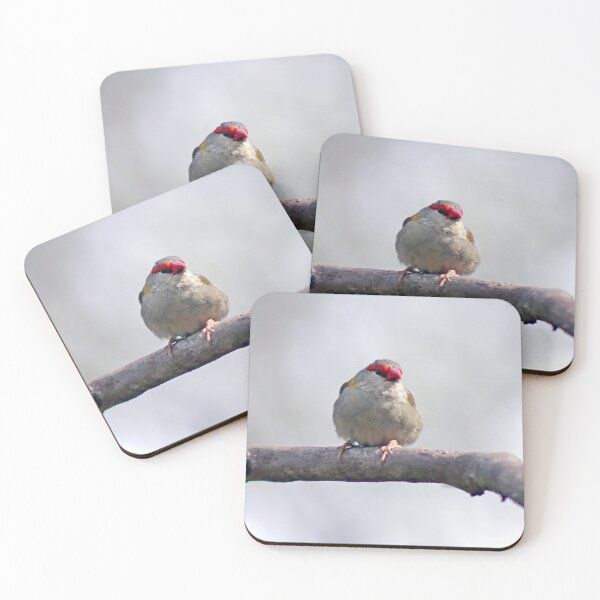 Item preview, © Red-browed finch designed and sold by GeoPipics.