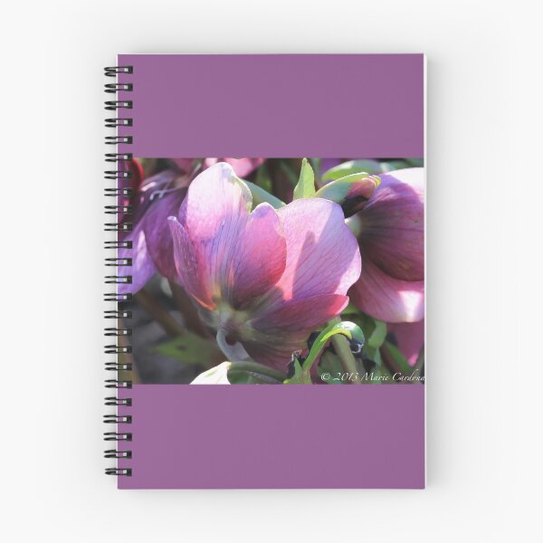 Item preview, The Bowing Rose  designed and sold by Marie  Cardona.