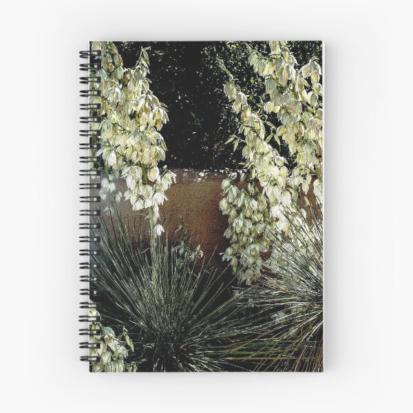 Item preview, Yucca Cactus Blooming in Mesilla, New Mexico designed and sold by William E Lopez.