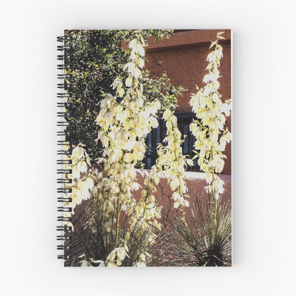 Item preview, Yucca Cactus Blooming in Mesilla, New Mexico-002 designed and sold by William E Lopez.