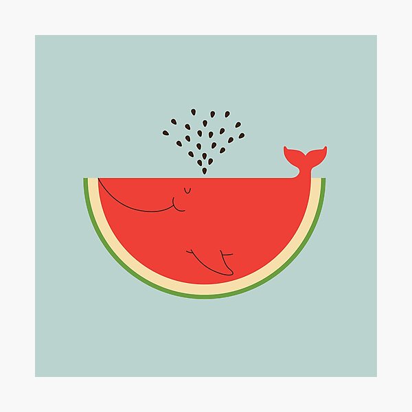 Watermelon Whale Photographic Print