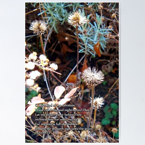 Item preview, My soul is full of troubles designed and sold by WalnutHill.