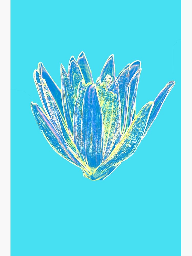 "Delicate Feminine Flower Design in Blue Pastel Color" Poster by AgnieszkaArt | Redbubble