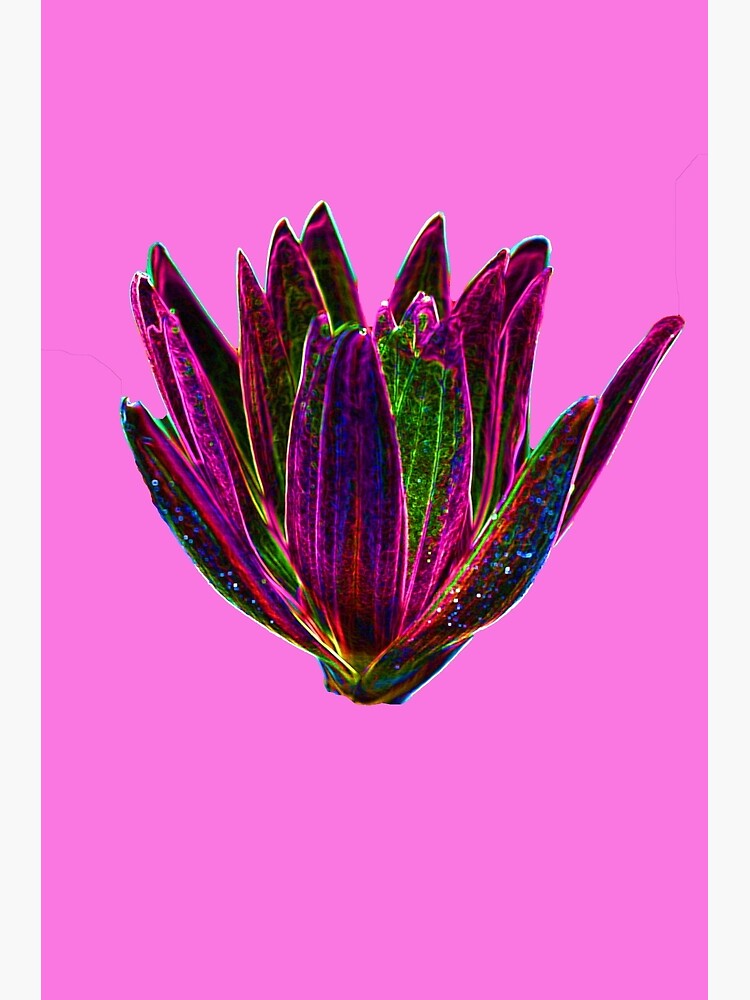 "Delicate Feminine Flower Design in Pink Pastel Color" Poster for Sale