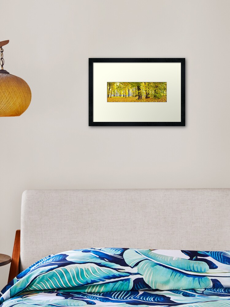 Framed Art Print, Khancoban Pondage Picnic Area, New South Wales, Australia designed and sold by Michael Boniwell