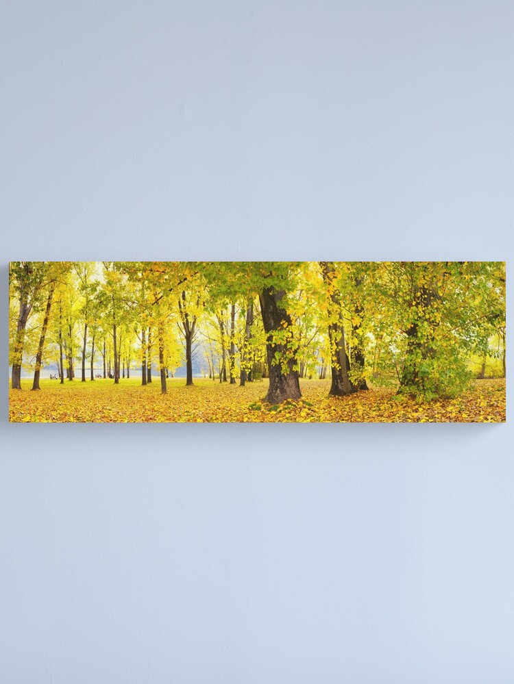 Thumbnail 1 of 3, Canvas Print, Khancoban Pondage Picnic Area, New South Wales, Australia designed and sold by Chockstone.