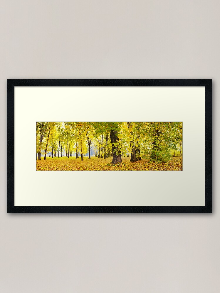 Thumbnail 1 of 7, Framed Art Print, Khancoban Pondage Picnic Area, New South Wales, Australia designed and sold by Chockstone.
