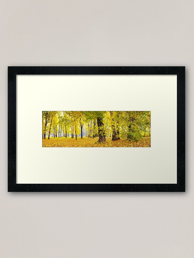 Thumbnail 2 of 7, Framed Art Print, Khancoban Pondage Picnic Area, New South Wales, Australia designed and sold by Michael Boniwell.