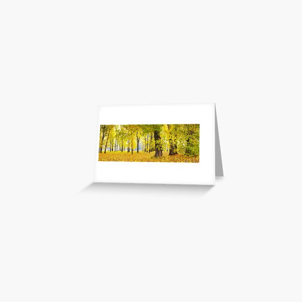 Item preview, Khancoban Pondage Picnic Area, New South Wales, Australia designed and sold by Michael Boniwell.