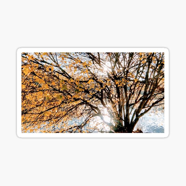 Autumn Blaze upon the Lake Sticker