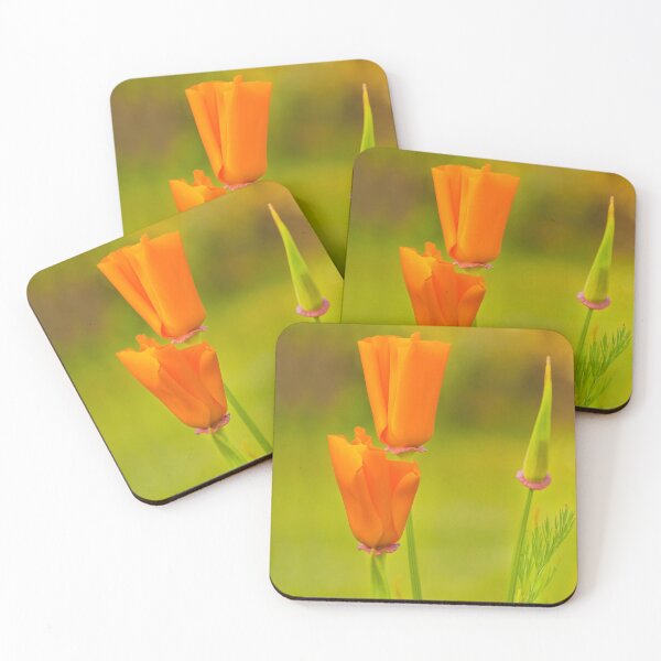 Item preview, California Poppies designed and sold by Terri Waters Photography & Design.