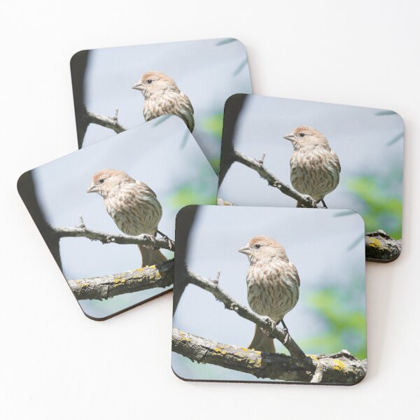 Item preview, House Finch Profile designed and sold by Debra Martz.