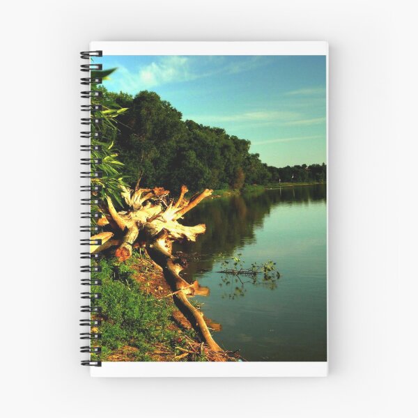 Item preview, ALONG THE SHORE designed and sold by Larry Trupp.