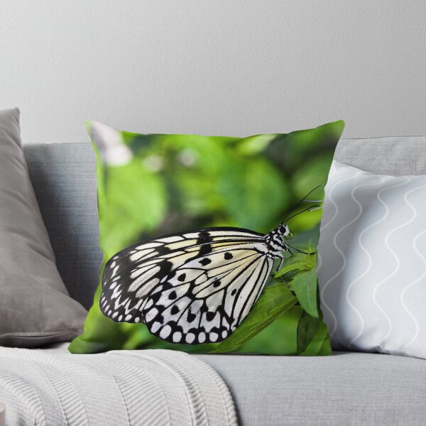 Item preview, Rice Paper III designed and sold by PhotosByHealy.