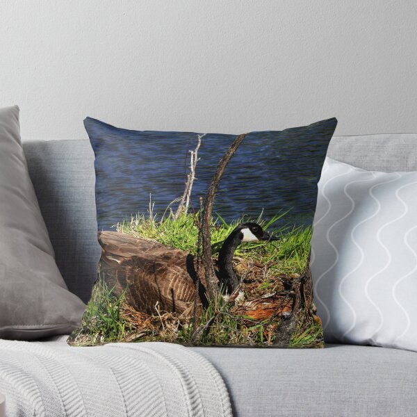 Item preview, Shhh...She's Nesting designed and sold by Larry Trupp.