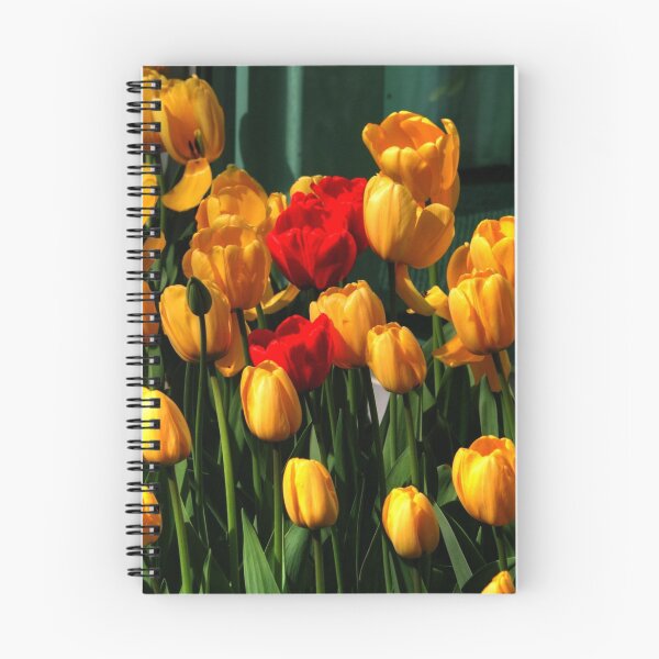 Item preview, MOTHERS DAY SPECIAL designed and sold by Larry Trupp.