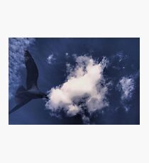 Closer to Heaven!! Photographic Print
