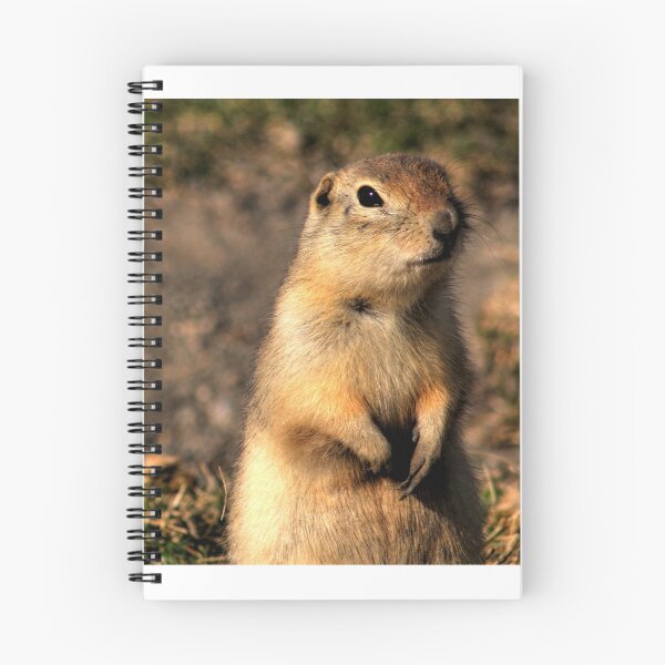 Item preview, RICHARDSON GROUND SQUIRREL designed and sold by Larry Trupp.