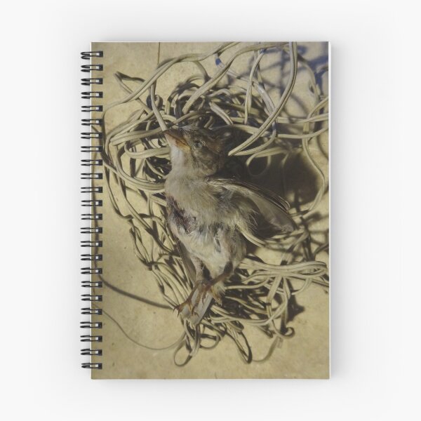 Item preview, Bird and Cable 1/5 designed and sold by edend.