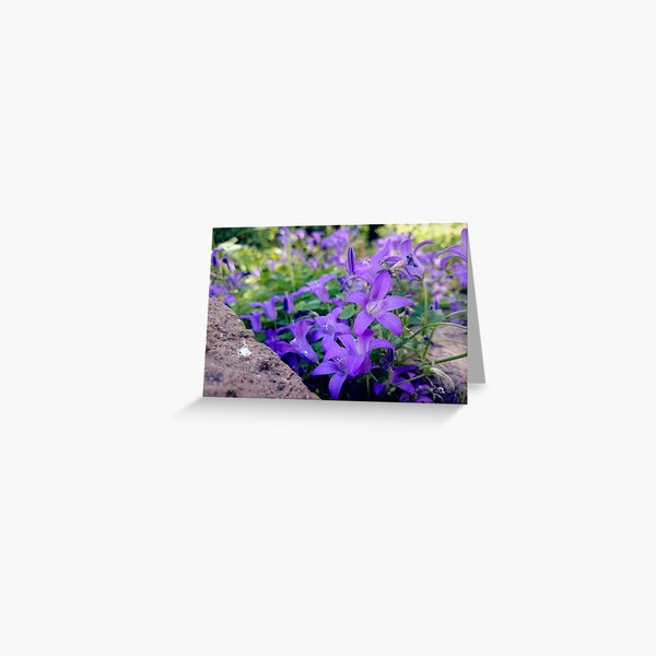 bellflower Greeting Card