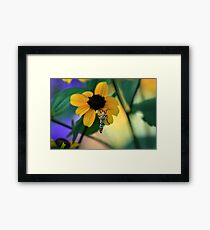 Color on color Framed Print